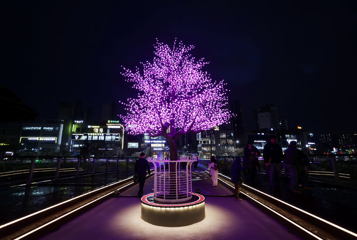 [청주=뉴시스] 충북 청주시 모충교. photo@newsis.com *재판매 및 DB 금지