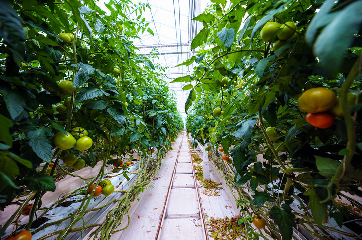 농진원, '배출권거래제 외부사업' 참여자 모집…맞춤형 지원