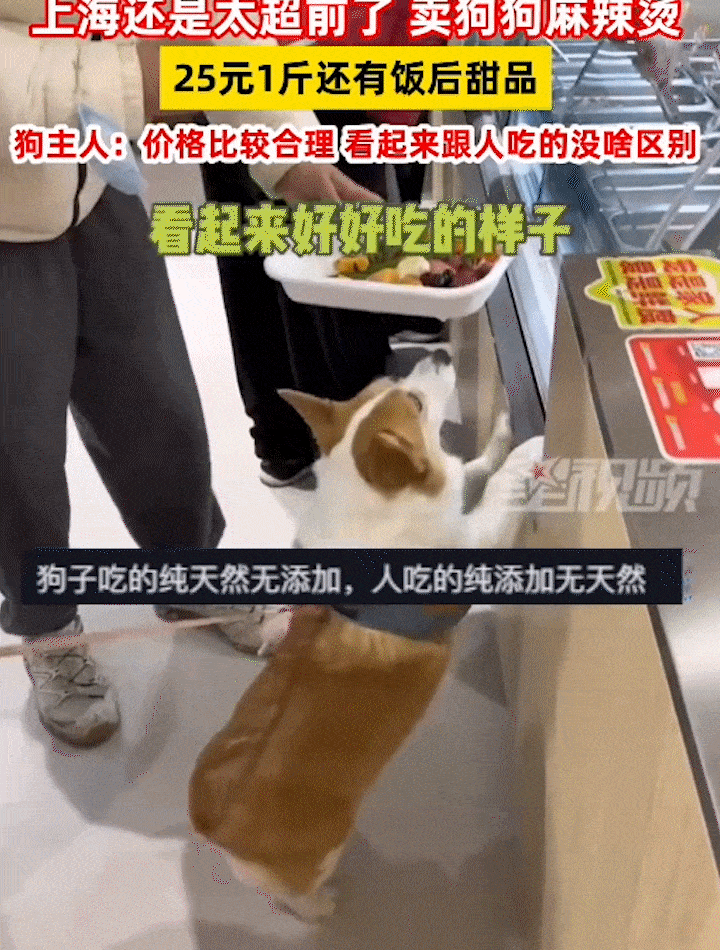 강아지용 마라탕을 판매하는 가게의 모습.(사진=성시빈)&nbsp; *재판매 및 DB 금지