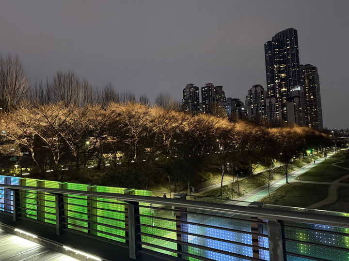 [서울=뉴시스] 조명으로 물든 양재천 야경. 2025.04.04. (사진=강남구 제공) *재판매 및 DB 금지