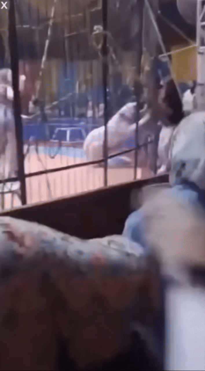 (사진=데일리메일) *재판매 및 DB 금지