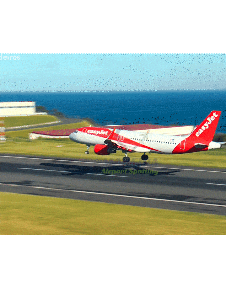 (사진= 데일리메일) *재판매 및 DB 금지