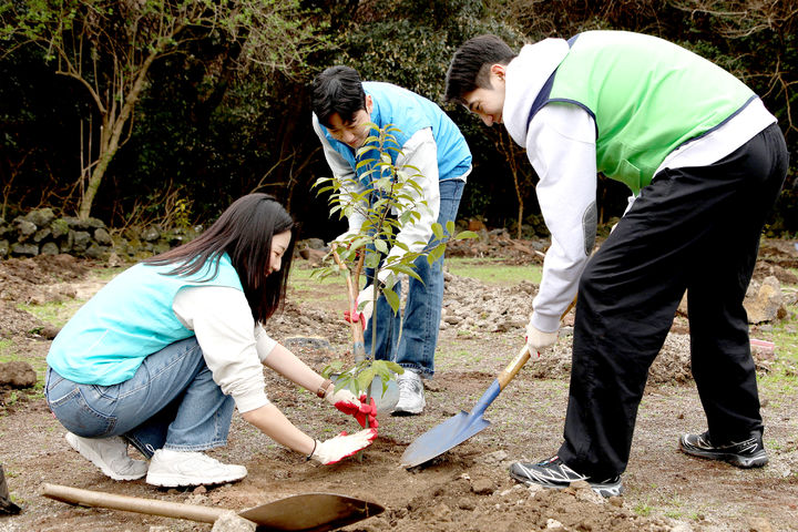 진에어, 에어부산, 에어서울 임직원들이 함께 나무를 심고 있는 모습.(사진제공=진에어) *재판매 및 DB 금지