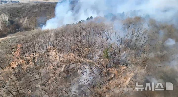 [연천=뉴시스] 산불 현장. (사진=산림청 제공) 2025.04.04 photo@newsis.com