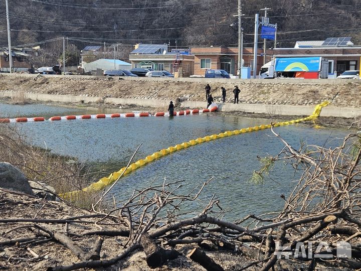 [영덕=뉴시스] 안병철 기자 = 경북 영덕군이 최근 산불로 인해 발생한 소각 잔재물이 하천으로 유입되는 것을 막기 위해 차단막을 설치했다.(사진=영덕군 제공) 2025.04.04. photo@newsis.com
