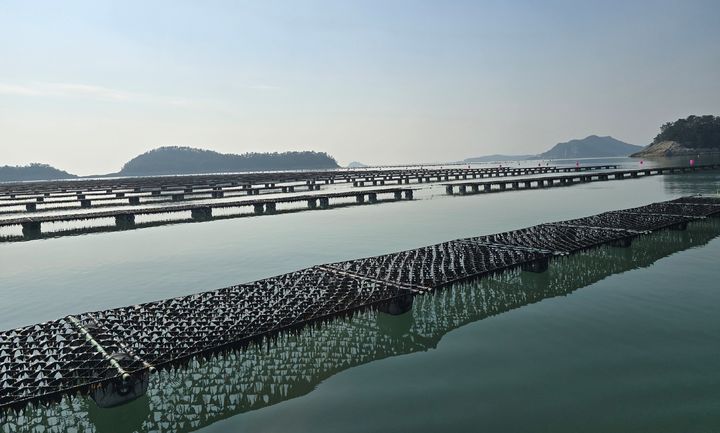  *재판매 및 DB 금지