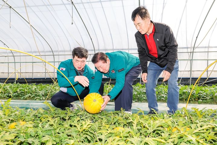 [함안=뉴시스]함안군, 대한민국 함안 수박축제 준비 ‘한창’. 사진은 조근제(가운데)함안군수가 수박재배현장을 찾아 수박 재배 상태를 파악하고 있는 모습.(사진=함안군 제공) 2025.04.04.photo@newsis.com *재판매 및 DB 금지
