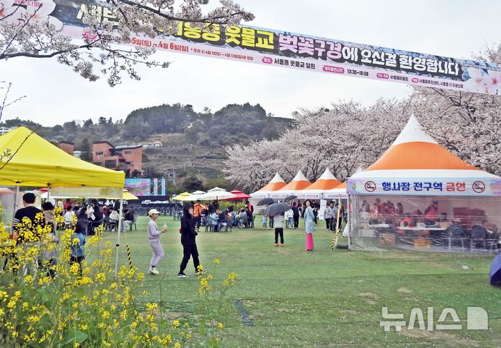 [제주=뉴시스] 오영재 기자 = 5일 오전 제주 서귀포시 서홍동 웃물교에서 열린 제3회 웃물교 벚꽃구경 축제가 열리고 있다. 2025.04.05. oyj4343@newsis.com