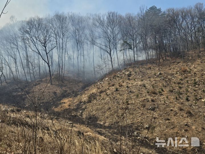 [청주=뉴시스] 산불 현장 (사진= 청주동부소방서 제공) 2025.04.06. photo@newsis.com *재판매 및 DB 금지