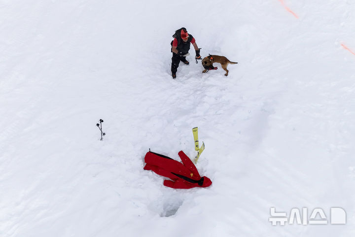 [콜 갈리나=AP/뉴시스] 지난달 25일(현지 시간) 이탈리아 코르티나 담페초 인근 콜 갈리나에서 눈사태를 가정한 구조훈련이 열린 가운데 구조견이 훈련을 하고 있다. 2025.04.07.