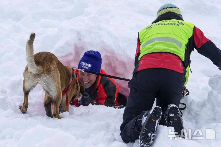 [콜 갈리나=AP/뉴시스] 지난달 25일(현지 시간) 이탈리아 코르티나 담페초 인근 콜 갈리나에서 눈사태를 가정한 구조훈련이 열린 가운데 구조견이 훈련을 하고 있다. 2025.04.07.