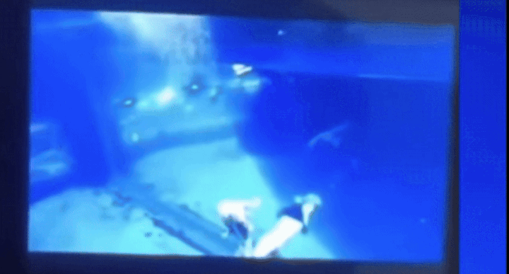 (사진=데일리메일) *재판매 및 DB 금지