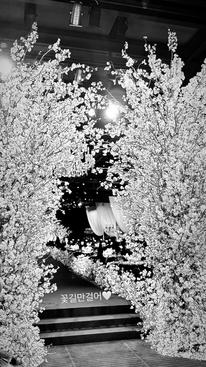 [서울=뉴시스] 배우 고소영이 그룹 '티아라' 멤버 효민의 결혼식에 참석했다. (사진=고소영 인스타그램 캡처) 2025.04.07. photo@newsis.com *재판매 및 DB 금지