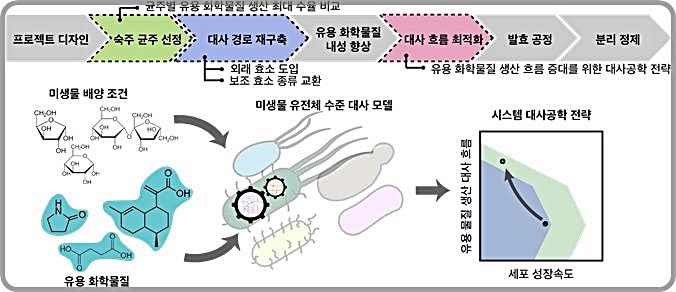 [대전=뉴시스] 유전체 수준 대사모델을 이용한 미생물 세포공장 개량 전략 제시도.(사진=KAIST 제공) *재판매 및 DB 금지