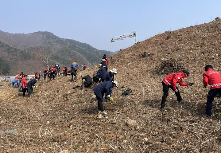나무 심기 행사. *재판매 및 DB 금지