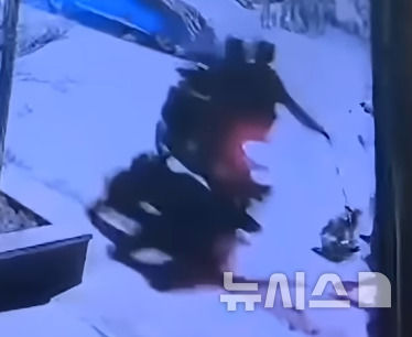 [서울=뉴시스](사진=프리프레스저널)