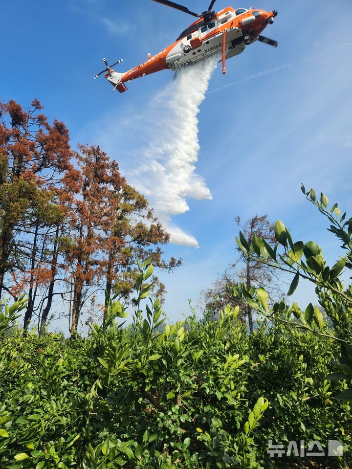 [제주=뉴시스] 7일 오후 제주 서귀포시 표선면 한 임야에서 화재가 발생해 소방당국이 헬기를 동원해 진압에 나서고 있다. (사진=제주소방안전본부 제공) 2025.04.07. photo@newsis.com