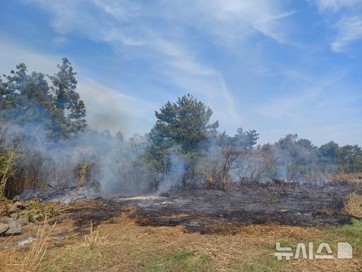 [제주=뉴시스] 7일 오후 제주 서귀포시 표선면 한 임야에서 화재가 발생해 소방당국이 헬기를 동원해 진압에 나서고 있다. (사진=제주소방안전본부 제공) 2025.04.07. photo@newsis.com 