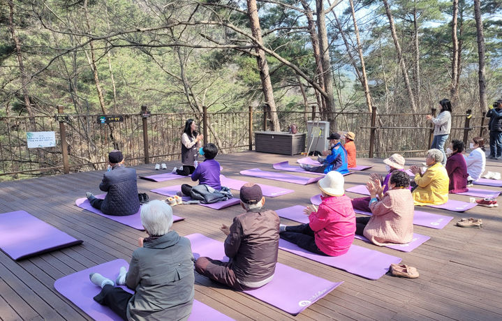 [곡성=뉴시스] 곡성치매안심센터 치매 치유의숲 프로그램 운영. (사진=곡성군청 제공). photo@newsis.com *재판매 및 DB 금지