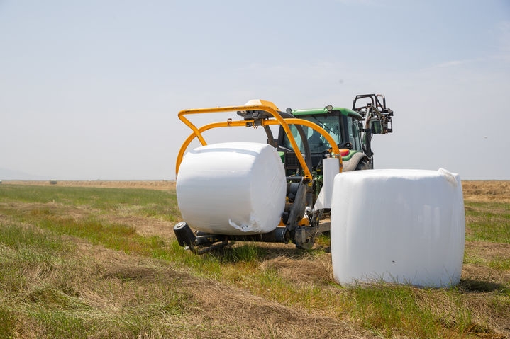 Alpalpa's Lactic Acid Bacteria Success - News Directory 3
