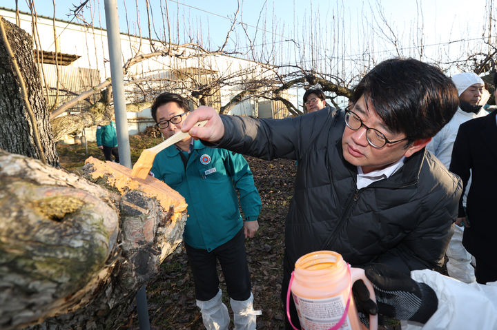 [세종=뉴시스]권재한 농촌진흥청장이 지난 1월15일 경기도 안성시 한 농가에서 과수화상병 궤양제거 현장점검을 하고 있다. (사진=농진청 제공) *재판매 및 DB 금지