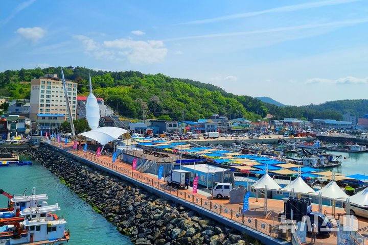 [강진=뉴시스] 마량놀토수산시장