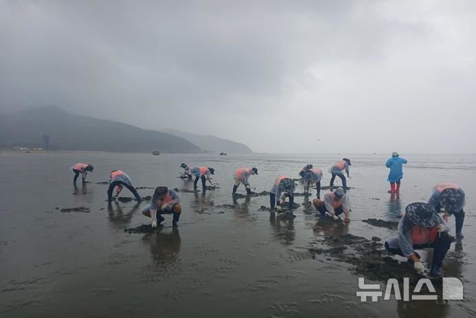 [서울=뉴시스] 인천 도시민 어촌어업 체험프로그램.