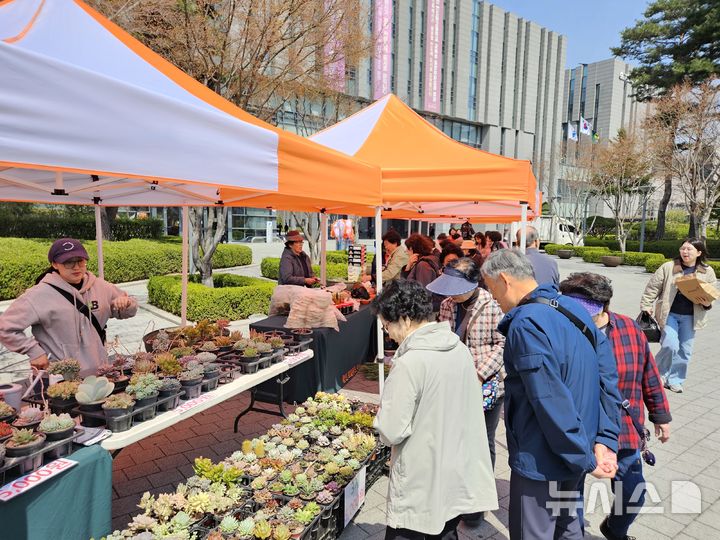 [용인=뉴시스]수지구청 광장에서 열리는 로컬푸드 직거래장터(사진=용인시 제공)2025.04.08. photo@newsis.com