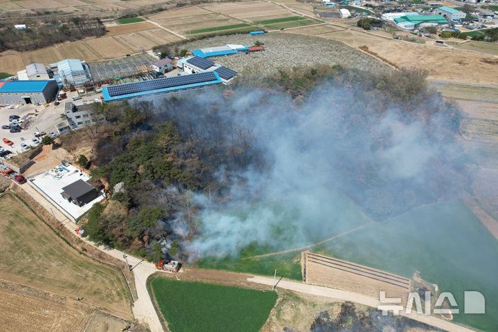 경주시 외동읍 북토리 야산 화재 현장