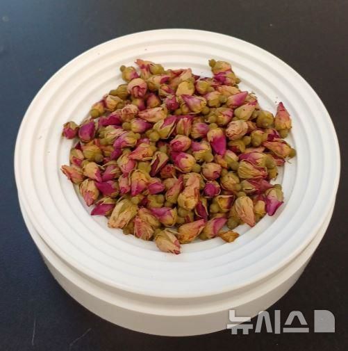 [서울=뉴시스] 해당화 꽃봉오리.