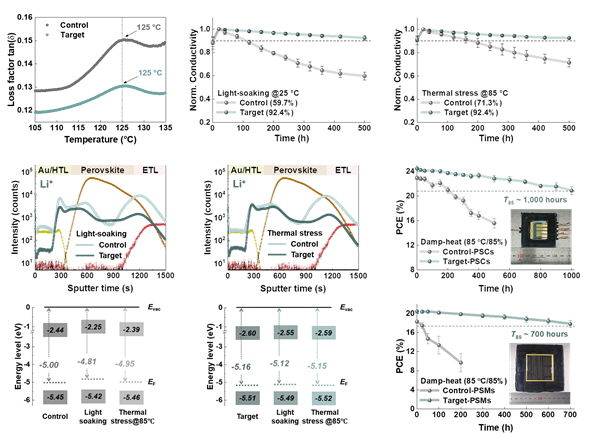 [울산=뉴시스] 에틸렌 카보네이트 첨가로 인한 태양전지 내구성 향상 연구그림. (사진=울산과학기술원 제공) 2025.04.08. photo@newsis.com *재판매 및 DB 금지