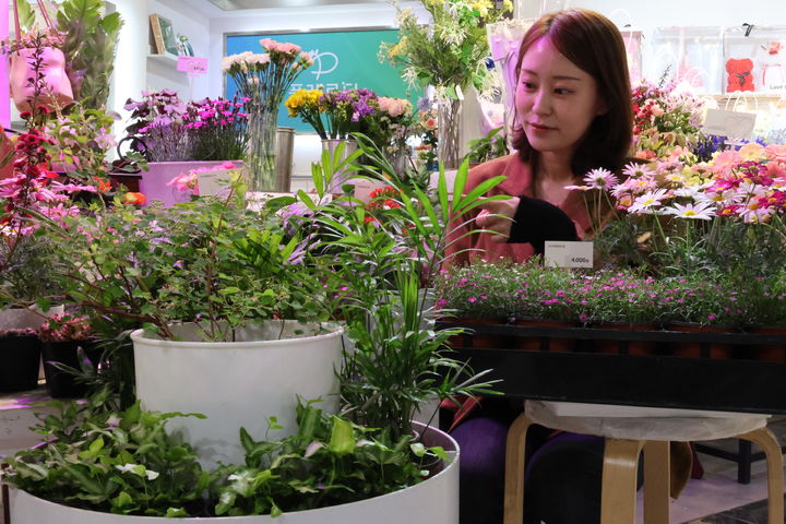 [대구=뉴시스] 롯데백화점 대구점은 지하 2층 '플레르디' 매장에서 실내 공기 정화에 효과적인 다양한 정화 식물을 선보인다. (사진 = 롯데백화점 제공) 2025.04.08. photo@newsis.com *재판매 및 DB 금지