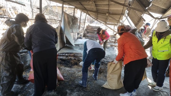  [의성=뉴시스] 충북 옥천군 주민자치회연합회(회장 김대훈) 회원 30여명이 7일 산불피해를 입은 경북 의성군 단촌면 하화리에서 봉사활동을 하고 있다. 2025.04.08 (사진= 단촌면재난대책위원회 제공) photo@newsis.com *재판매 및 DB 금지