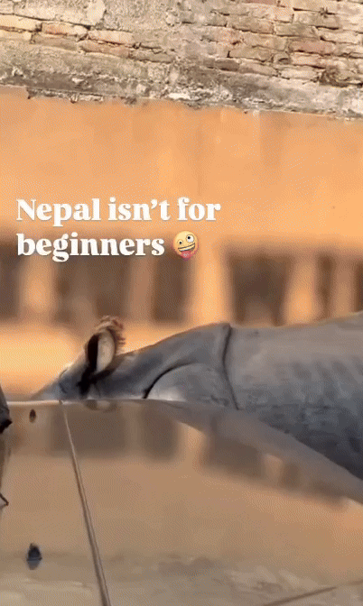 (사진=프리프레스저널)&nbsp; *재판매 및 DB 금지