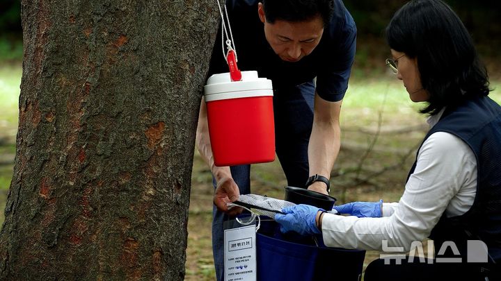 [서울=뉴시스]모기 채집기 설치.