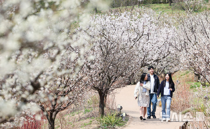 충북 대체로 맑음 '한낮 23도'…미세먼지 '좋음'