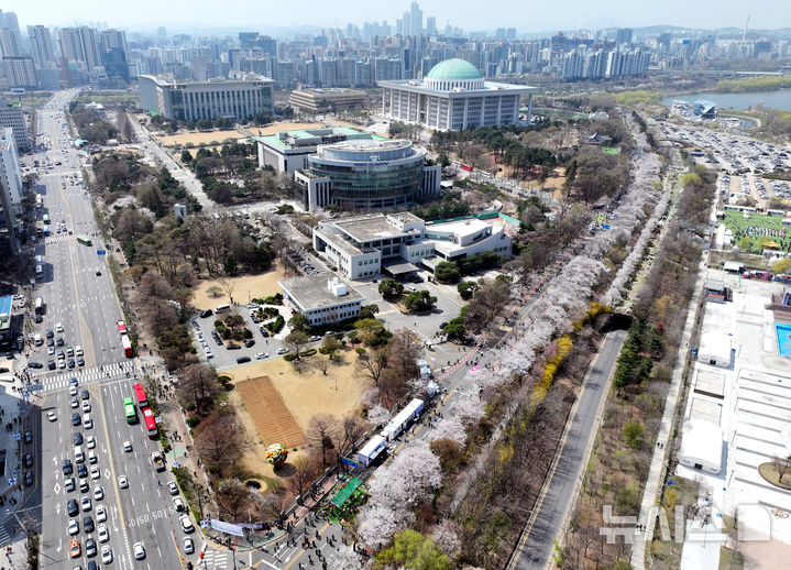 [서울=뉴시스] 고승민 기자 = 8일 서울 여의서로 벚꽃길 일대에 벚꽃 등 봄꽃이 만개해 있다. 2025.04.08. kkssmm99@newsis.com