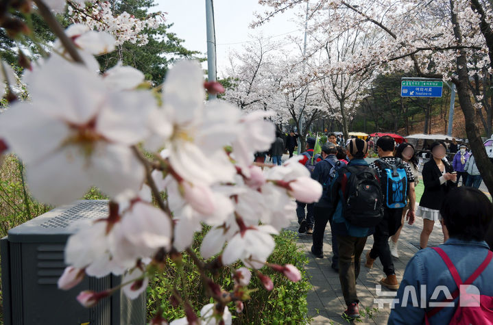 [서울=뉴시스] 고승민 기자 = 8일 서울 여의서로 벚꽃길을 찾은 상춘객이 벚꽃 등 봄꽃을 즐기고 있다. 2025.04.08. kkssmm99@newsis.com