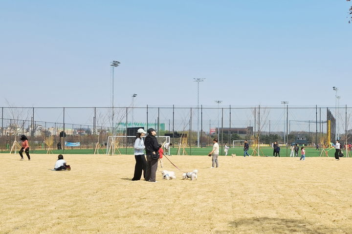 [수원=뉴시스] 수원시 황구지천생태수자원센터 체육공원 내 잔디광장. (사진=수원시 제공) 2025.04.09. photo@newsis.com *재판매 및 DB 금지