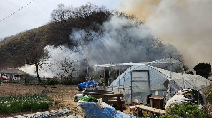 [성주=뉴시스] 주택에서 난 불이 야산으로 번지고 있다. (사진=경북소방본부 제공) 2025.04.09 photo@newsis.com *재판매 및 DB 금지