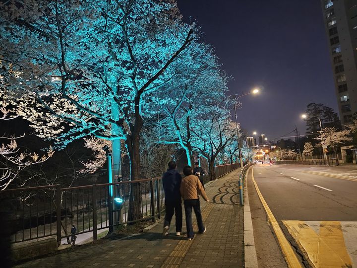 월문천 일대에 설치된 경관조명. (사진=남양주시 제공) photo@newsis.com *재판매 및 DB 금지