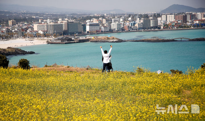 [제주=뉴시스] 우장호 기자 = 포근한 날씨를 보인 9일 오전 제주시 조천읍 서우봉에 유채꽃이 활짝 피어나 지나는 이들의 시선을 끌고 있다. 2025.04.09. woo1223@newsis.com