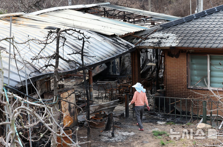 [안동=뉴시스] 김금보 기자 = 산불 피해 주민 박경숙(67)씨가 9일 경북 안동시 길안면 만음리의 전소된 집에서 피해 상황을 살피고 있다. 2025.04.09. kgb@newsis.com