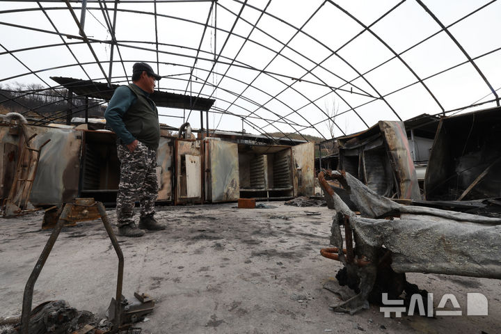 [안동=뉴시스] 김금보 기자 = 산불 피해 주민 송명배(66) 씨가 9일 경북 안동시 길안면 만음리의 전소된 농막에서 불에 탄 농기계를 살펴보고 있다. 2025.04.09. kgb@newsis.com