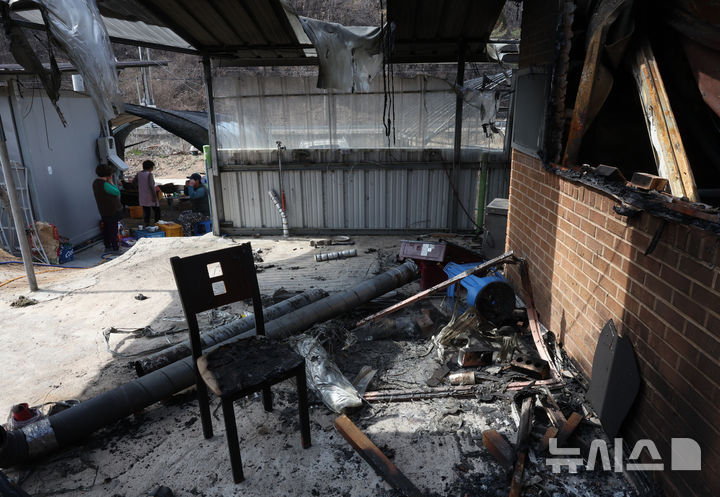 [안동=뉴시스] 김금보 기자 = 9일 경북 안동시 길안면 만음리 산불 피해 주민 송명배(66) 씨의 전소된 집에 집기가 나뒹굴고 있다. 2025.04.09. kgb@newsis.com