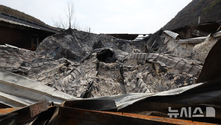 [안동=뉴시스] 김금보 기자 = 4월 9일 경북 안동시 길안면 만음리 산불 피해 주민 송명배(66) 씨의 전소된 집 지붕이 내려앉아 있다. 2025.04.09. kgb@newsis.com