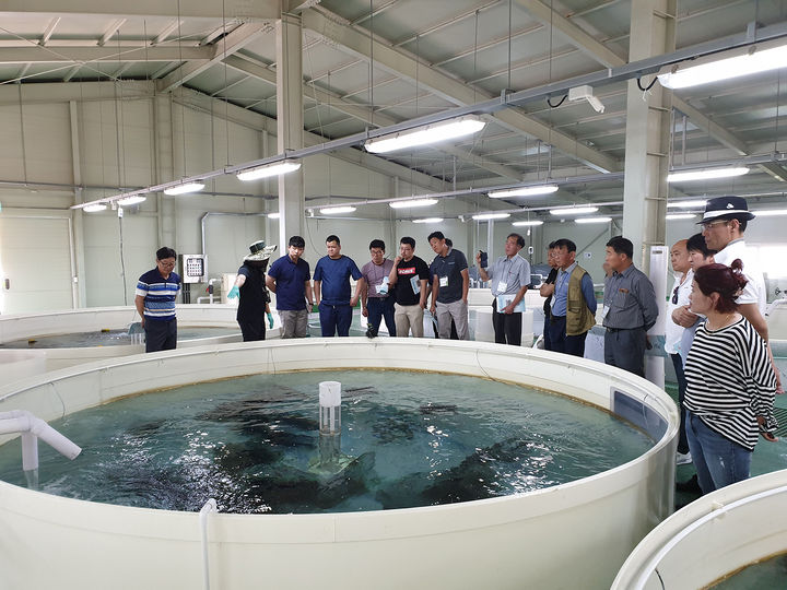 [안동=뉴시스] 청년창업 임대형 양식단지. 2025.04.10. (사진=안동시 제공) photo@newsis.com *재판매 및 DB 금지