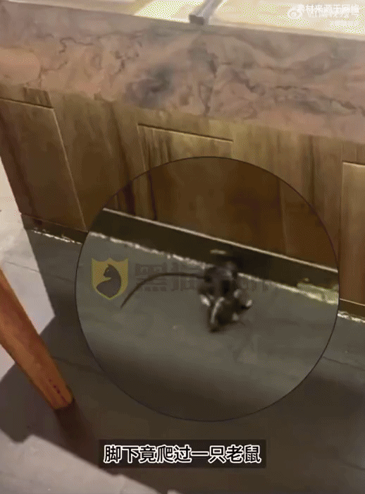 [서울=뉴시스] 중국의 유명 철판구이 체인점에서 식사 도중 생쥐가 출몰해 위생 논란이 일고 있다. (사진=웨이보) *재판매 및 DB 금지