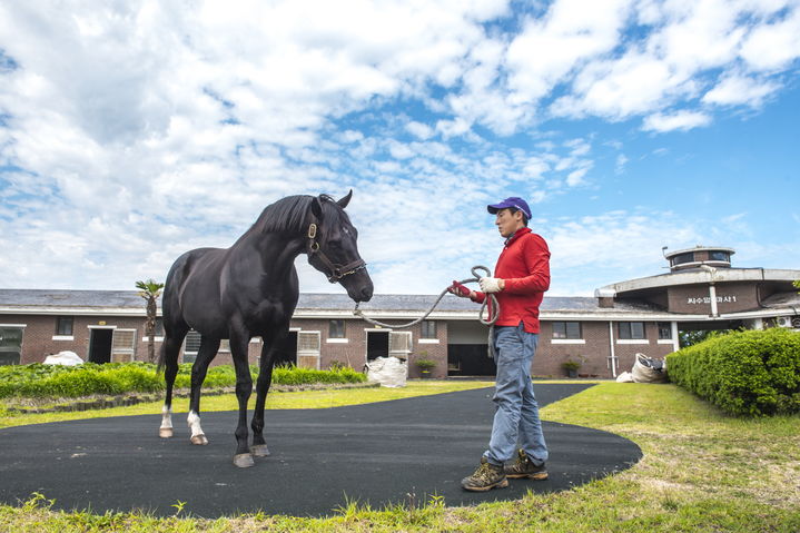 [세종=뉴시스] 한국마사회 제주목장. (사진=한국마사회 제공) *재판매 및 DB 금지