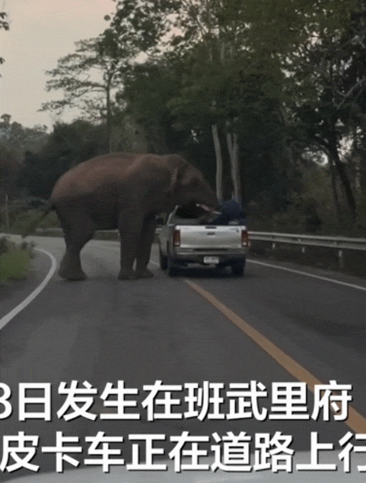 [서울=뉴시스] (사진=중국 신경보) *재판매 및 DB 금지